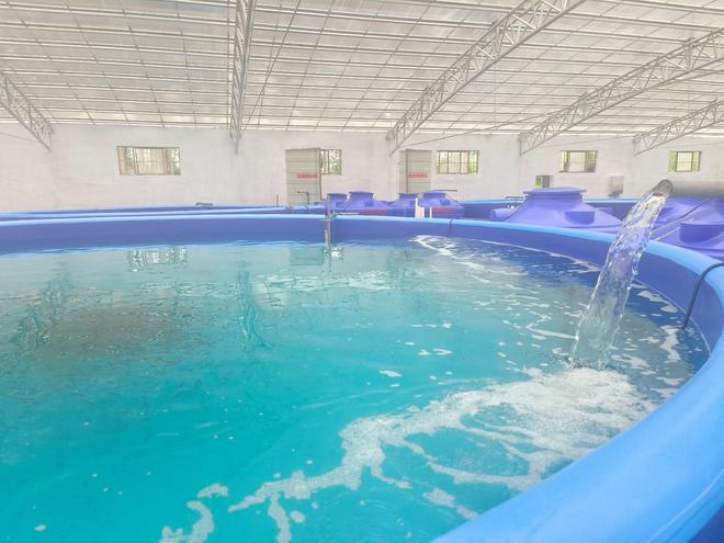 智慧養(yǎng)魚(yú)闖出致富新路 水質(zhì)改良劑研發(fā)的革新與機(jī)遇