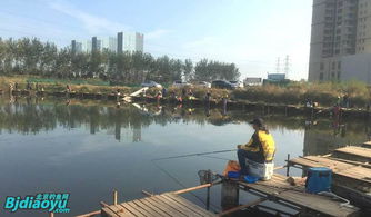 北京釣魚野趣 野釣營，垂釣愛好者的天堂